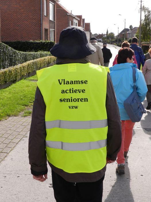Vlaamse Actieve Senioren